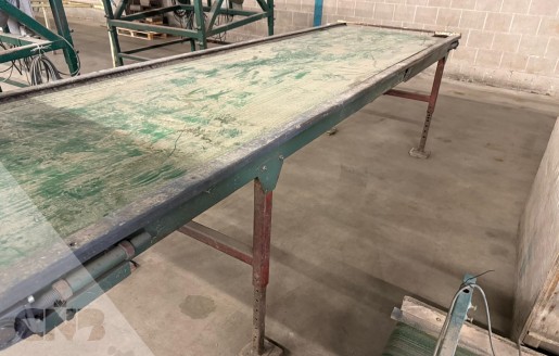 Foto van Transportband 100x350