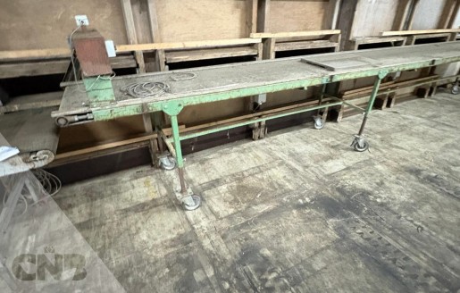 Foto van Transportband 65x700