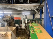 Foto van Boslijn Tulipstar-Havatec