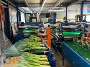 Foto van Boslijn Tulipstar-Havatec
