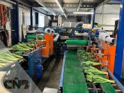 Foto van Boslijn Tulipstar-Havatec