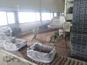 Foto van inpaklijn-Akerboom