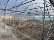 Foto van Foliekas-Rovero