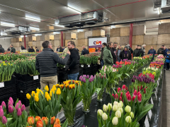 Highlighted image: CNB Marktbroeishow 2024 meer dan geslaagd!